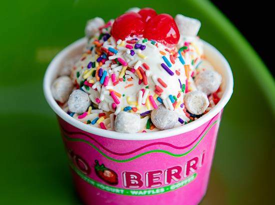 CELEBRATE NATIONAL FROZEN YOGURT DAY AT THE VILLAGE SHOPS!