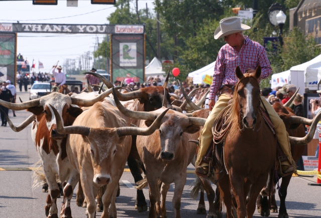 RUSTLE UP THE FAMILY AND HEAD TO WESTERN DAYS