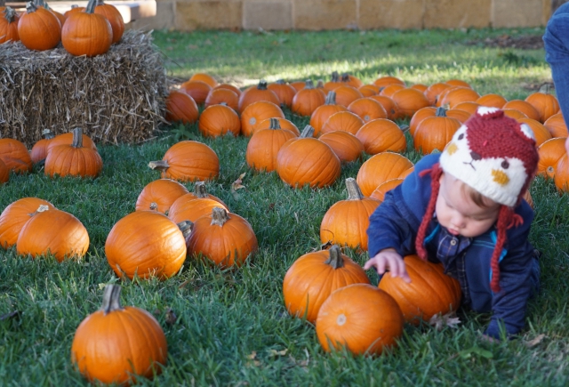 FALL FUN IN CASTLE HILLS